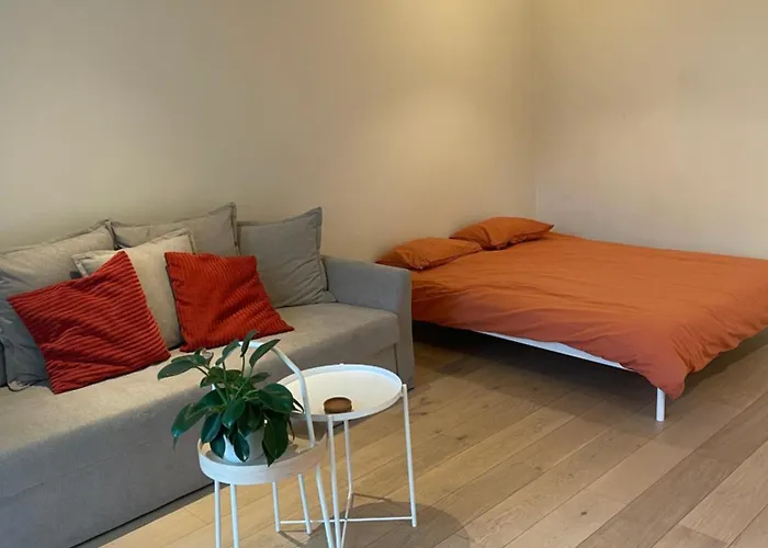 Cozy Studio Flat In Saska Kepa